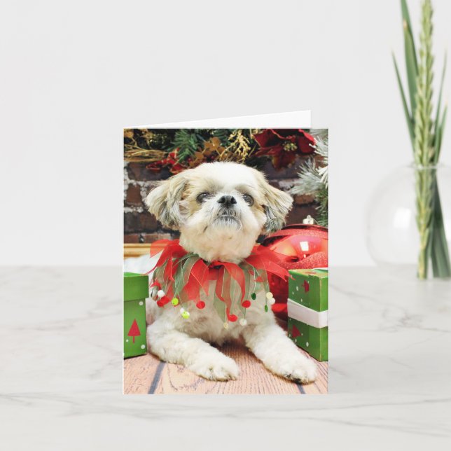 Cartão De Festividades Natal - Shih Tzu - Bailey (Frente)