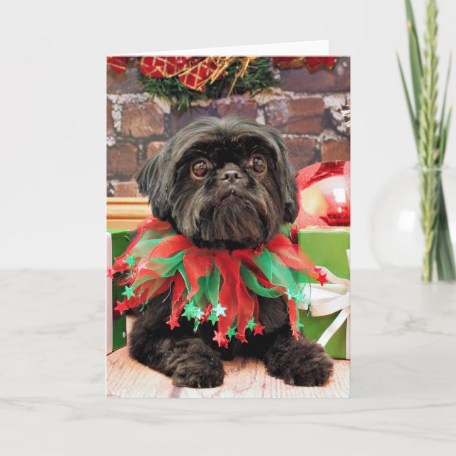 Cartão De Festividades Natal - Shih Tzu - Lily (Frente)