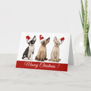 Cartão De Festividades Natal Sortudos de Natal