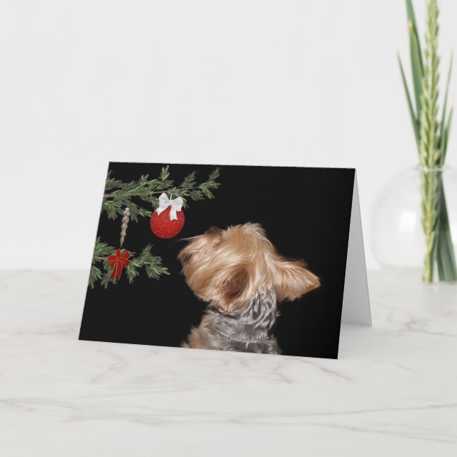 Cartão De Festividades Natal tentado de Yorkie (Frente)