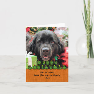 Cartão De Festividades Natal - Terra Nova - Izzie