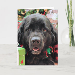 Cartão De Festividades Natal - Terra Nova - Izzie