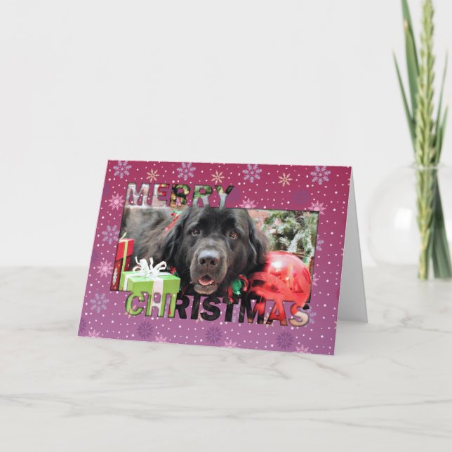 Cartão De Festividades Natal - Terra Nova - Izzie (Frente)