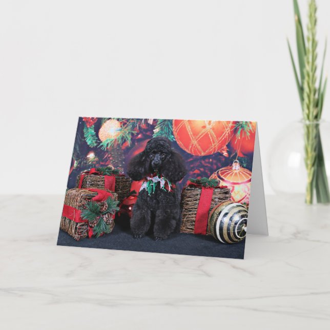 Cartão De Festividades Natal - Toby - Poodle (Frente)