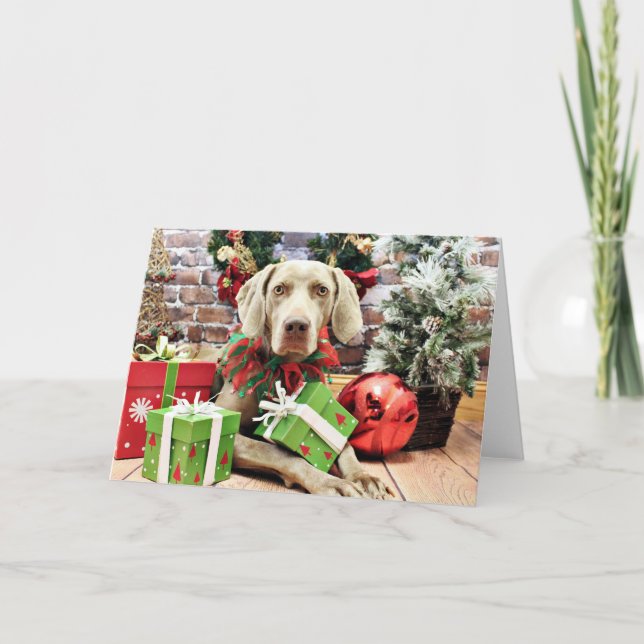 Cartão De Festividades Natal - Weimaraner - Lucy (Frente)