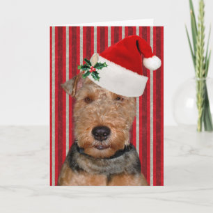 Cartão De Festividades Natal Welsh Terrier com chapéu