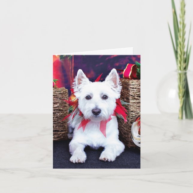 Cartão De Festividades Natal - Westie - Bella (Frente)
