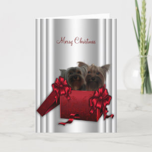 Cartão De Festividades Natal Yorkshire Terrier