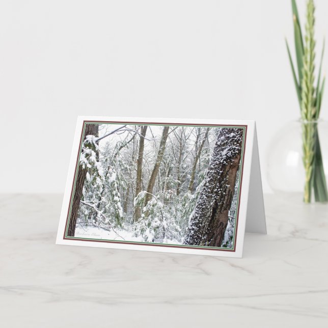 Cartão De Festividades ***Natureza: Viva cada estação (Frente)