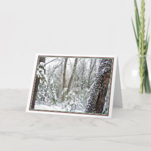 Cartão De Festividades ***Natureza: Viva cada estação: Walden Pond