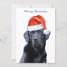 Negra Labrador Retriever Papais noeis de Natal Cac