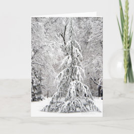 Cartão De Festividades Nenhum Floco De Neve Cai No Lugar Errado.