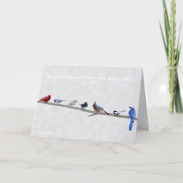 Cartão De Festividades Nenhum floco de neve jamais cai no lugar errado - 