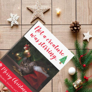 Cartão De Festividades Nenhuma Criatura Estava Atirando Foto De Pet