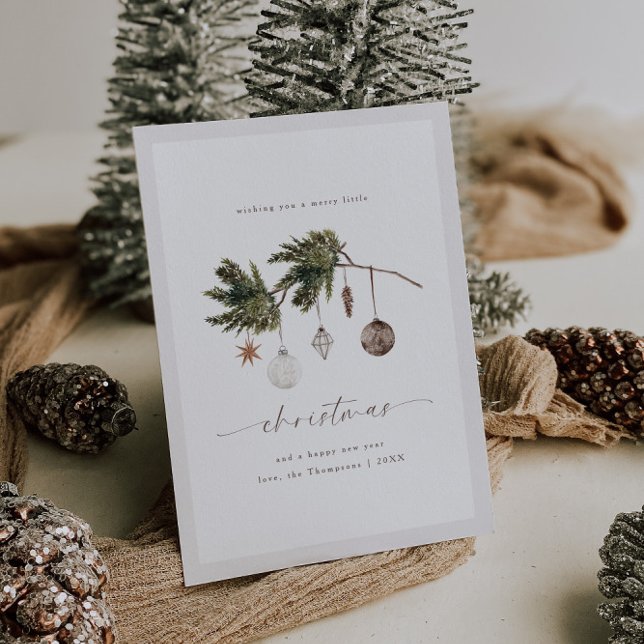 Cartão De Festividades Neutral Ornaments Watercolor (Criador carregado)