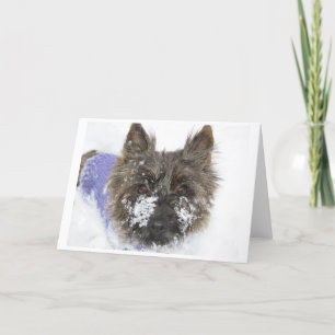 Cartão De Festividades Neve!