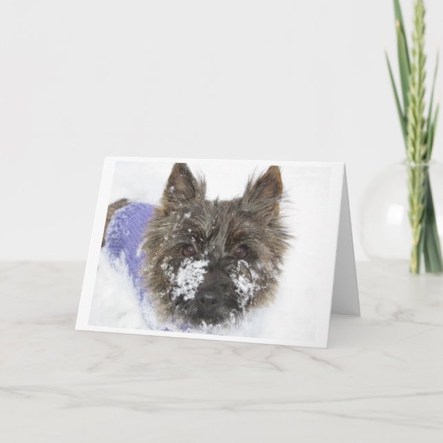 Cartão De Festividades Neve! (Frente)