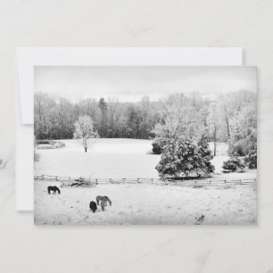 Cartão De Festividades Neve fresca desbotada na Fazenda do Cavalo