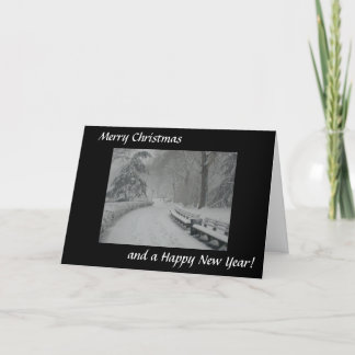 Cartão De Festividades Neve no Central Park