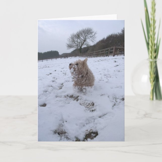 Cartão De Festividades Neve Westie (Frente)