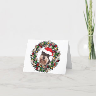 Cartão De Festividades No Natal - Miniatura Schnauzer