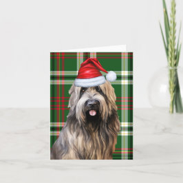 Cartão De Festividades Noite de Natal do Cachorro Verde Xadrez Natal