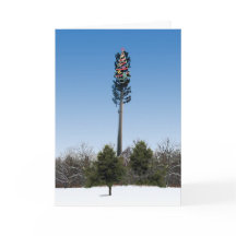 Noite Silenciosa (Não)