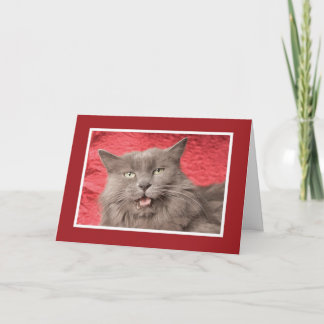Cartão De Festividades Nós somos Purrfect para Eachother - personalizado