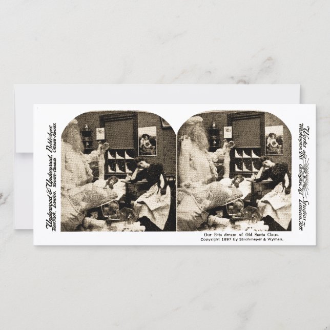Cartão De Festividades Nosso Sonho Pets do Velho Papai Noel Stereoview 18 (Frente)