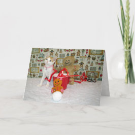 Cartão De Festividades Nozes de cozinha de Annie - Natal de Gato/Gato