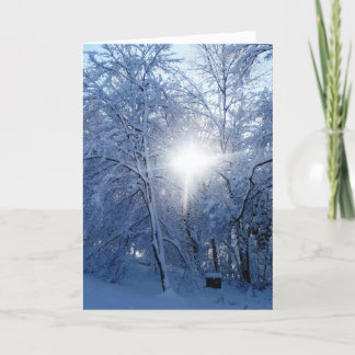 Cartão De Festividades O beijo do inverno
