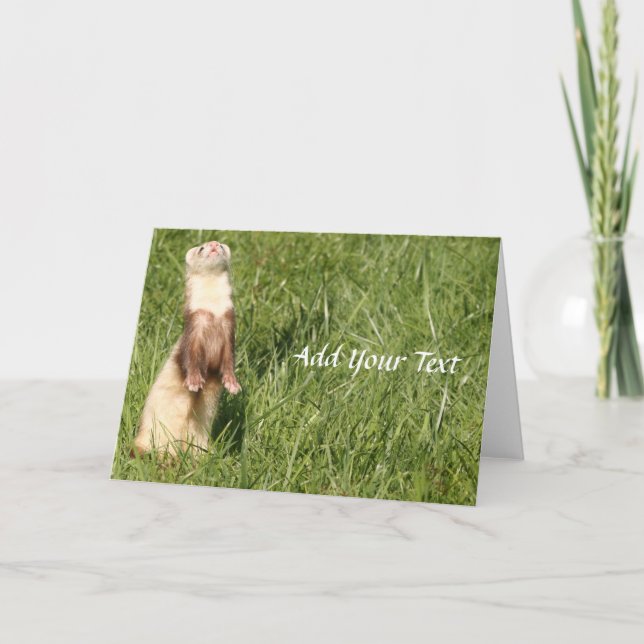 Cartão De Festividades O Céu é Furões Acima (Frente)