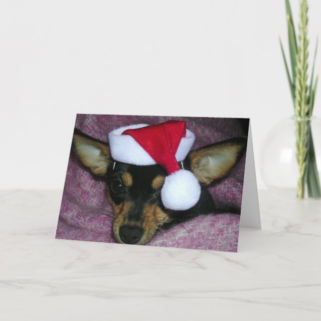 Cartão De Festividades O duende o mais pequeno do papai noel (Frente)