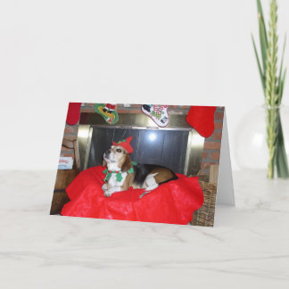 Cartão De Festividades O Elf do Beagle Christmas