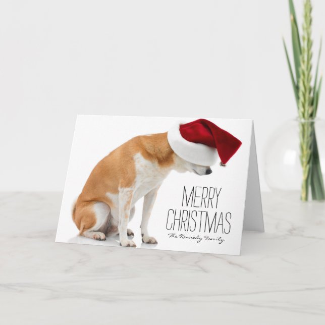 Cartão De Festividades O estúdio disparou do cão de Shiba Inu que veste o (Frente)