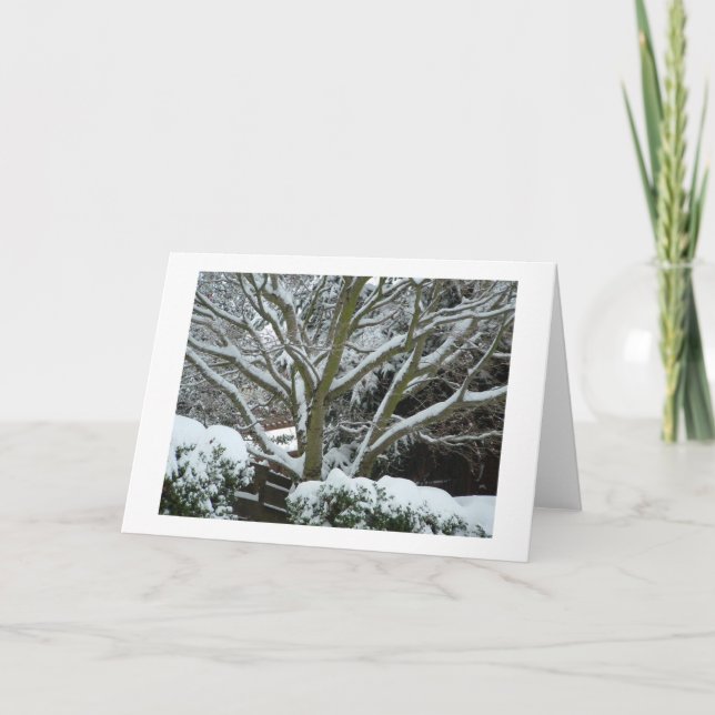 Cartão De Festividades "O feriado morno deseja " (Frente)