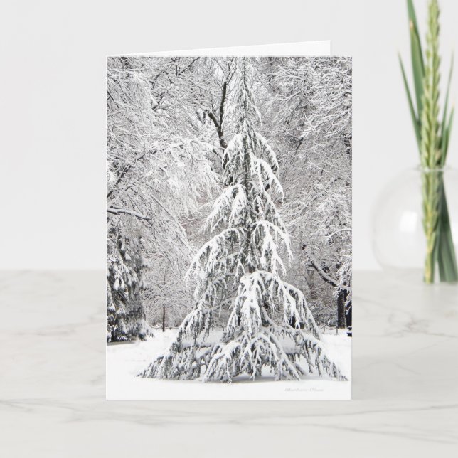 Cartão De Festividades O floco de neve do *No cai no lugar errado (Frente)