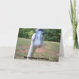 Cartão De Festividades O ganso de Natal diz: