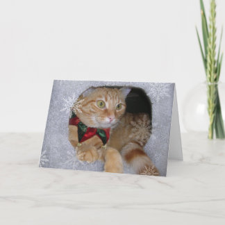 Cartão De Festividades o mas x carda