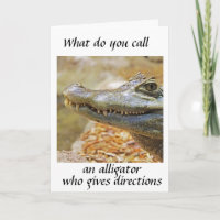 O *NAVIGATOR ALLIGATOR* PARA O SEU ANIVERSÁRIO