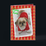 Cartão De Festividades o papai noel bonito do tzu de lhasa do tzu de shih<br><div class="desc">cartão de Natal bonito do cão do papai noel do tzu de lhasa do tzu de shih, este shih-tzu bonito ou olhares do cão do tzu de lhasa grandes em seu equipamento do Natal do filhote de cachorro do papai noel. Feliz sorrindo na câmera este filhote de cachorro bonito está...</div>