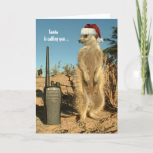 Cartão De Festividades O papai noel está chamando-o - os cumprimentos 3