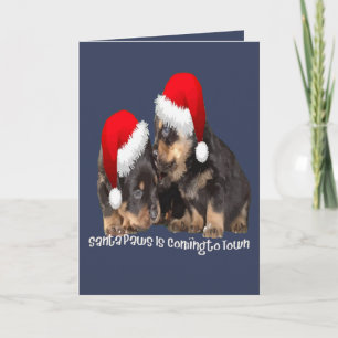 Cartão De Festividades O Papai Patas Está Chegando à Cidade Rottweiler Bo