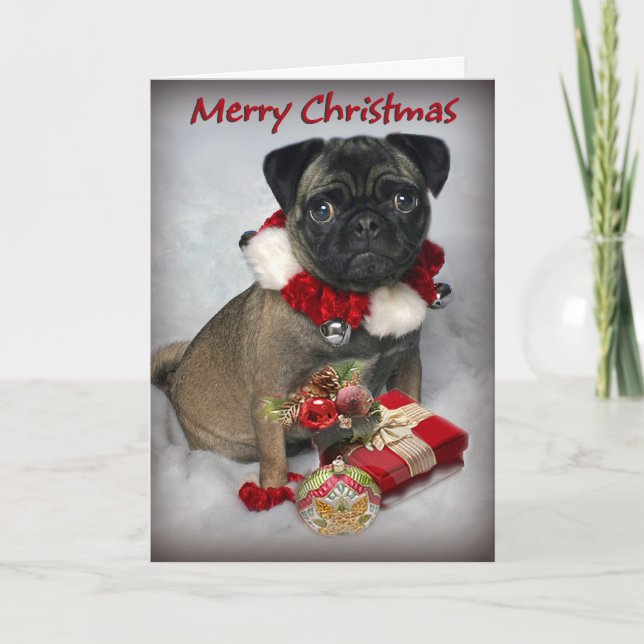 Cartão De Festividades O Pug deseja-lhe o Feliz Natal (Frente)