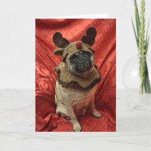 Cartão De Festividades o Pug vermelho do nariz