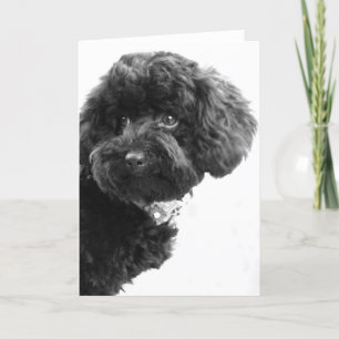 Cartão De Festividades O quê?