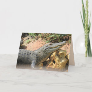 Cartão De Festividades O Travesseiro do Gator - Placa dobrada de Alligado