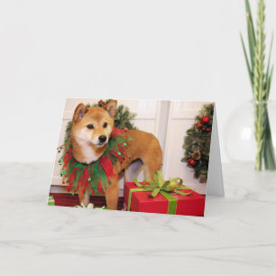 Cartão De Festividades Oakley - Shiba Inu - VanBladel