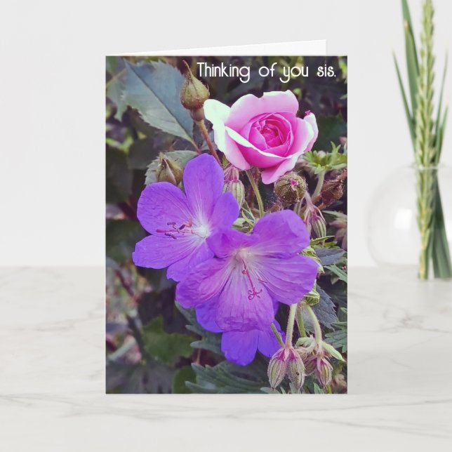 Cartão De Festividades Obtenha uma placa de Irmã de Recuperação Rápida (Frente)