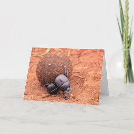 Cartão De Festividades Ocorre estrume